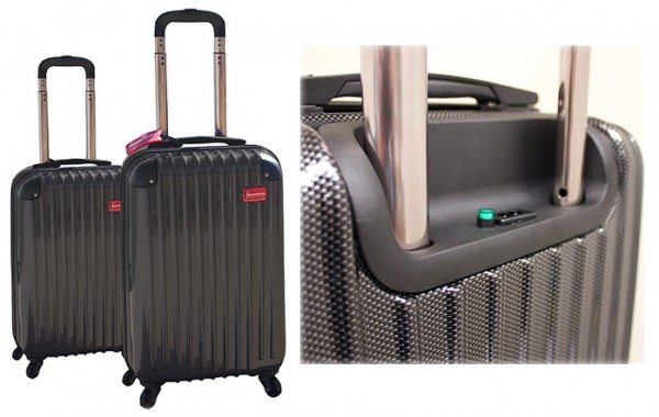 heated luggage