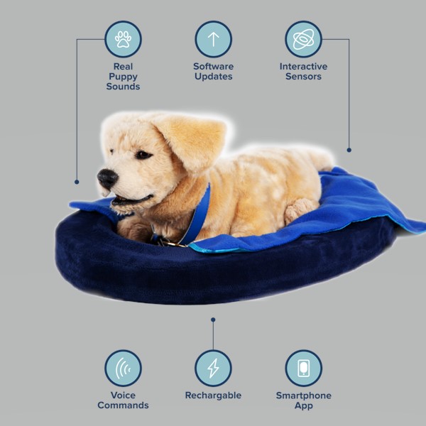tombot puppy 01