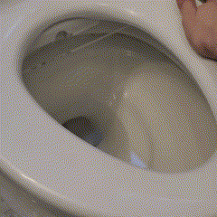 SmartBidet