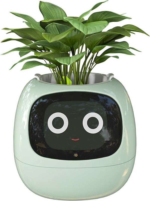 ampulla flowerpot 1
