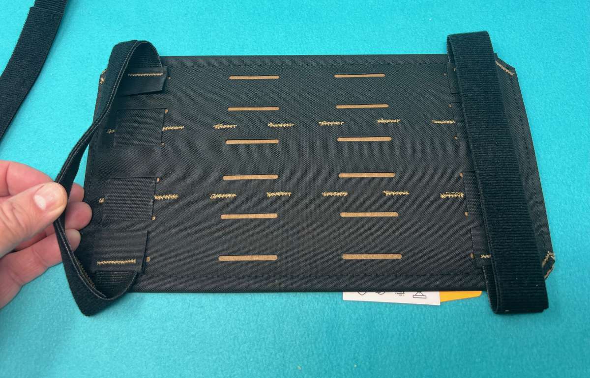Step22VisorPanel 2