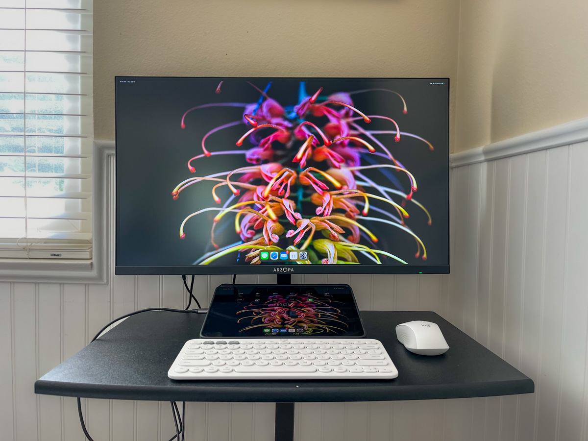 ARZOPA M1RC 1